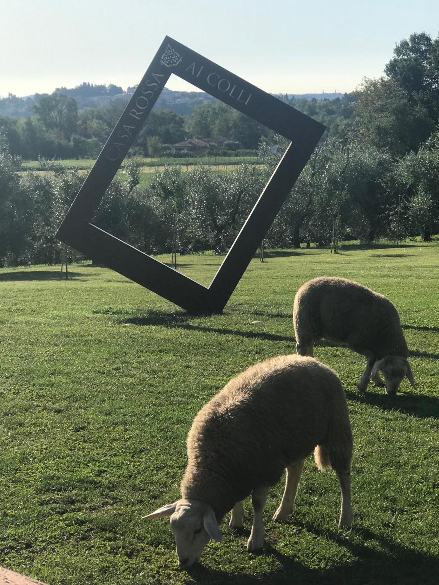 Agriturismo Casa Rossa Ai Colli Ragogna Buitenkant foto